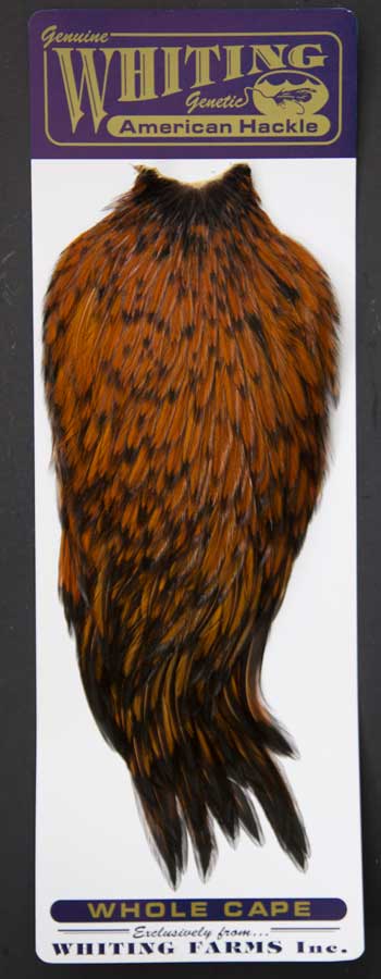 Indian Cock Neck